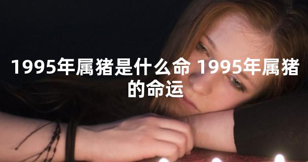 1995年属猪是什么命 1995年属猪的命运